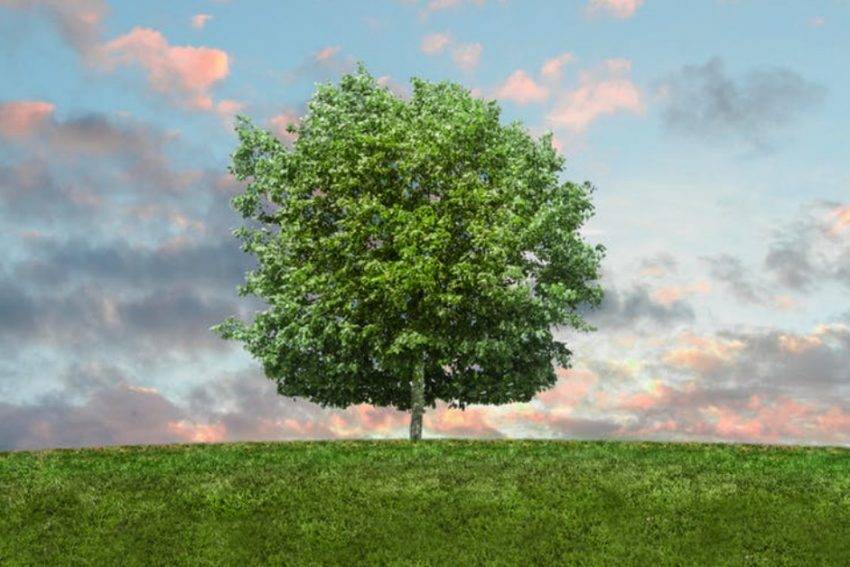 £10m Commercial Boiler Scrappage Incentive for London SMEs