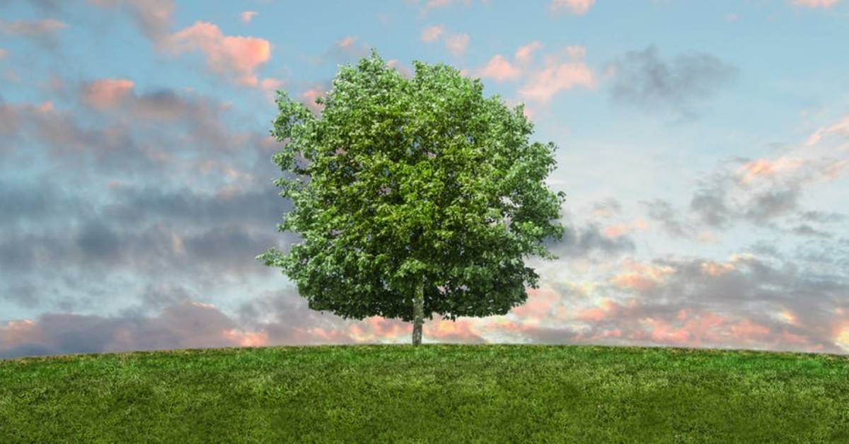 £10m Commercial Boiler Scrappage Incentive for London SMEs