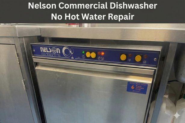 Nelson Commercial Dishwasher No Hot Water Repair - Twickenham